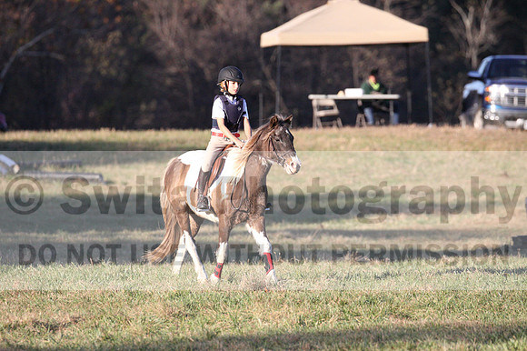 Reagan Roy on Paint By Numbers, Green Horse Trials Junior