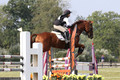 Alex Reed on On Broadway, JYOP