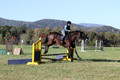 Carol Brickey on Throwing Stones, Advanced Green Horse Trials B