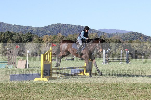 Carol Brickey on Throwing Stones, Advanced Green Horse Trials B