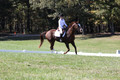 Pia Zuffoletti on Rio, Beginner Novice Horse Trials Junior A