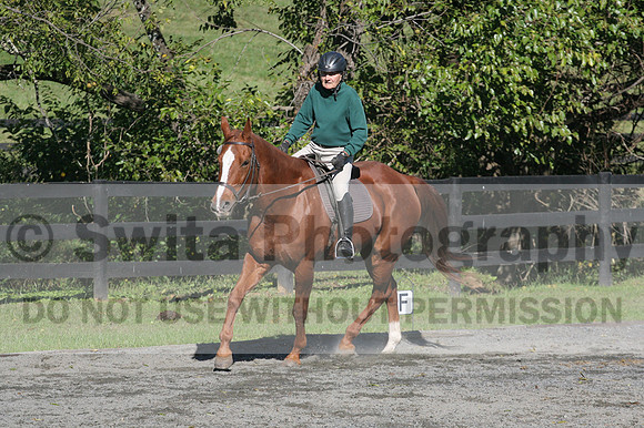 John Weir on Admiral, Dressage Only: Training Level, Test 2/3