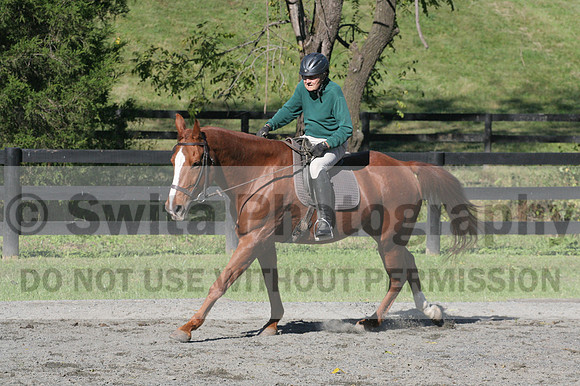 John Weir on Admiral, Dressage Only: Training Level, Test 2/3
