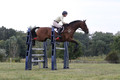 Lindsey Lanier on Fernhill Hustler, OI