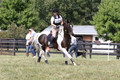 Allyssa Schnitzer on Call Me Cricket, JBN