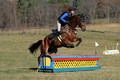 Francesca Toms on Top Secret, Novice Horse Trials Junior