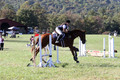 Alexandria Morocom on Da Lime and Da Coconut, Advanced Green Horse Trials B