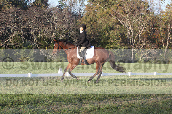 Paula McConnell on Summers Lilac, Dressage Only: Beginner Novice A
