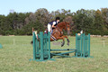 Alexandria Morocom on Da Lime and Da Coconut, Advanced Green Horse Trials B