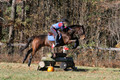 Shannon Daily on Pitt Maneuver, Novice Horse Trials Senior