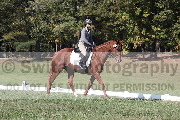 Jenny Rosner on Curious, Beginner Novice Horse Trials Senior A