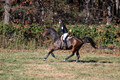 CJ Weldon on Talleyrand, Novice Horse Trials Senior