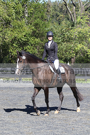 Wenzhao Zhang on High Roller, Beginner Novice Senior Horse Trials A