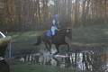 Kylie Oseguera on Boss Man, Advanced Green Horse Trials Junior B