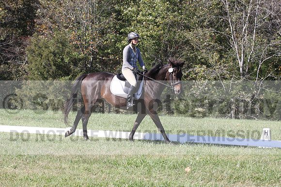 Jenny Rosner on Evita K, Advanced Green Horse Trials A