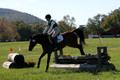 Elizabeth Davis on Freedom's Stormy Night, Beginner Novice Horse Trials Junior B