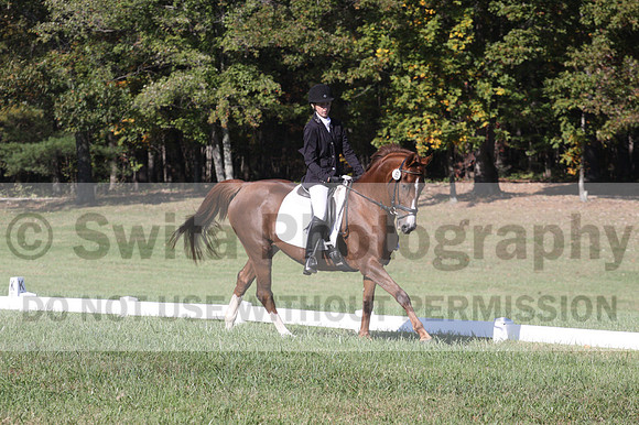 Maggie Proffitt on Wallstreet Melody, Novice Horse Trials Junior