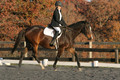 Thea Miller on Something Glamorous, Dressage Only: Training Level, Test 3