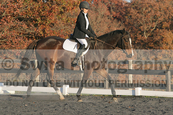 Thea Miller on Something Glamorous, Dressage Only: Training Level, Test 3
