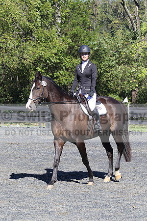 Wenzhao Zhang on High Roller, Beginner Novice Senior Horse Trials A