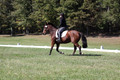 Elaine Groves on Luidonna, Beginner Novice Horse Trials Senior B