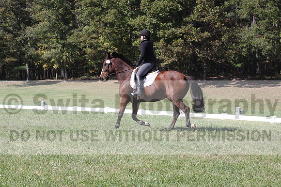 Elaine Groves on Luidonna, Beginner Novice Horse Trials Senior B