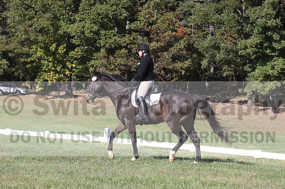 Mimi Combs on Aristocrat, Beginner Novice Horse Trials Senior A