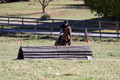Theresa Thompson on Rated PG, Novice Horse Trials Senior