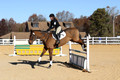 Emily Beshear on My Combination, Novice Horse Trials Senior