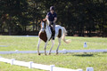 Elizabeth Schooley on Pearl, Advanced Green Horse Trials A