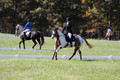 Holly Holbrook on Two Bet Chloe, Beginner Novice Horse Trials Junior A