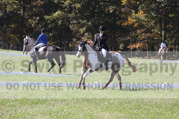 Holly Holbrook on Two Bet Chloe, Beginner Novice Horse Trials Junior A