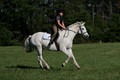 Violet Cross on Elpin Odin, Beginner Novice Horse Trials Junior B