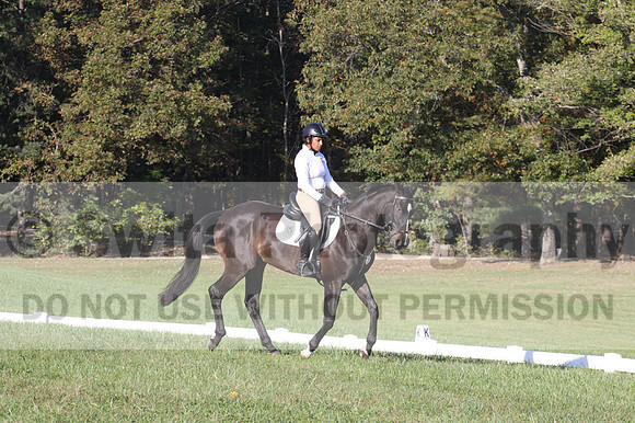 Anna White on Rocking The Ark, Novice Horse Trials Senior A