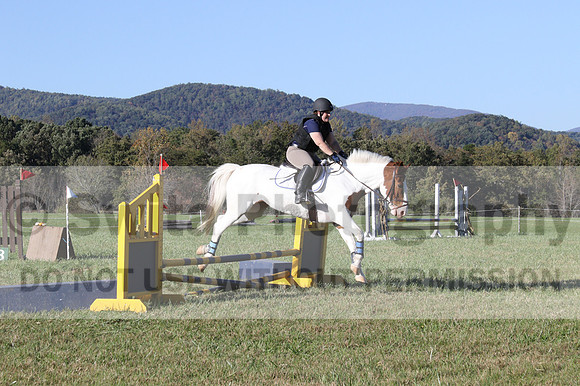 Elizabeth Schooley on Pearl, Advanced Green Horse Trials A