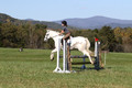 Violet Cross on Elpin Odin, Beginner Novice Horse Trials Junior B