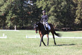 Brooke Bayley on Unbroken, Beginner Novice Horse Trials Senior A