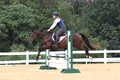 V32L0370