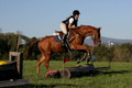 Alexandria Morocom on Da Lime and Da Coconut, Advanced Green Horse Trials B