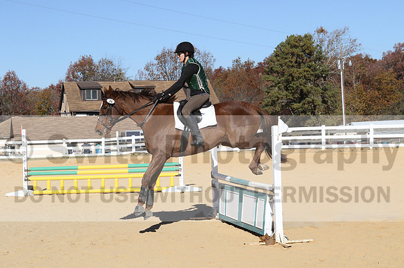 Amy Morris on Milo, Beginner Novice Horse Trials Senior C