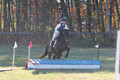 Erica Jones on Bingo, Advanced Green Horse Trials Senior A