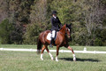 Emily Kagey on Flicka, Beginner Novice Horse Trials Junior A