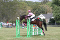 Charlotte Collier on Clifford M