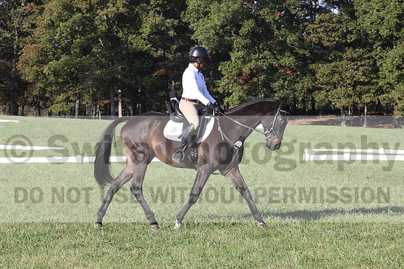 Anna White on Rocking The Ark, Novice Horse Trials Senior A