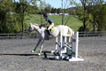 Elizabeth Larson, Defies Gravity