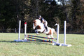 Elizabeth Schooley on Pearl, Advanced Green Horse Trials A