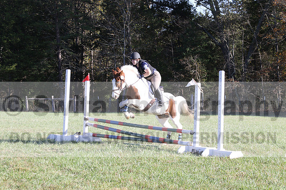 Elizabeth Schooley on Pearl, Advanced Green Horse Trials A