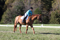 Clay Cooke on Clifford Dun It Again, Advanced Green Horse Trials B