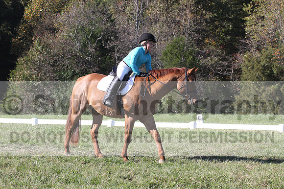 Clay Cooke on Clifford Dun It Again, Advanced Green Horse Trials B