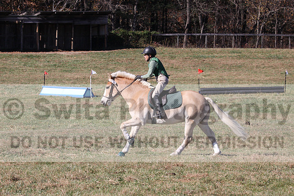 Sally Nunneley on Gingerman, Beginner Novice Horse Trials Senior A